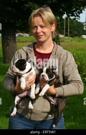 woman with Boston Terrier Puppies Stock Photo