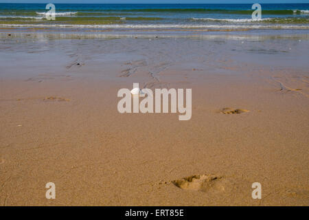 patterns in the sand where the sea has receded back Stock Photo
