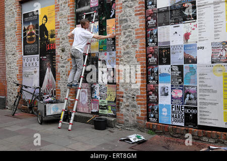 A man pastes entertainment posters on a wall in Womanby Street Cardiff Wales UK  KATHY DEWITT Stock Photo