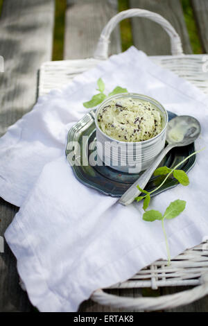 Chocolate chip mint ice cream Stock Photo