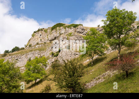 Limestone valley of Lathkill dale near Over Haddon in the Peak District Derbyshire England Stock Photo