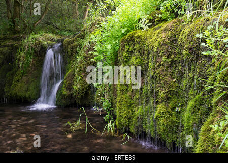 Lathkill Dale National Nature Reserve in the Peak District National Park  Derbyshire Stock Photo
