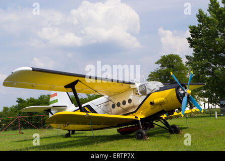 A yellow bi plane on the green grass Stock Photo