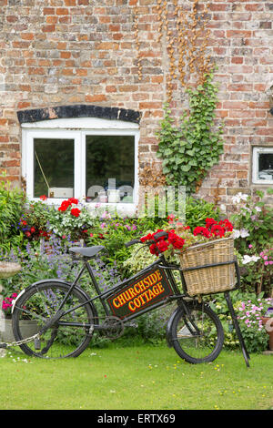 A old grocers bike in a cottage garden, Frampton on Severn, Gloucestershire, England, UK. Stock Photo