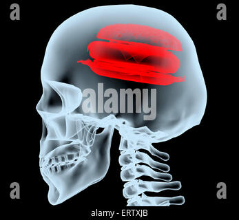 X-ray of a head with the burger instead of the brain, 3d illustration Stock Photo