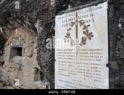 Fort de Vaux, Verdun, memorial to a carrier pigeon that died f gas poisoning Stock Photo