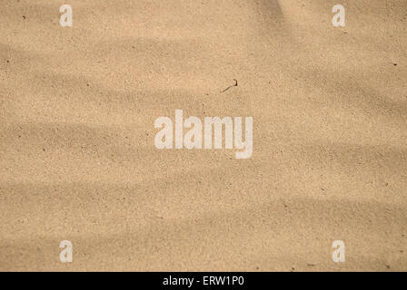 Closeup of sand background on the beach Stock Photo