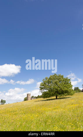 Croome Court's attractive parkland and St Mary Magdalene's Church by Capability Brown, Worcestershire. England, UK Stock Photo