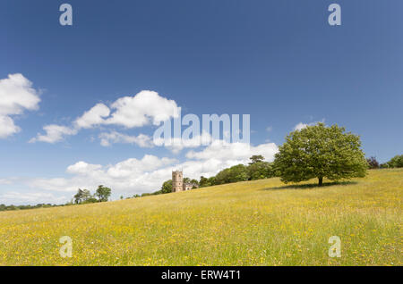 Croome Court's attractive parkland and St Mary Magdalene's Church by Capability Brown, Worcestershire. England, UK Stock Photo