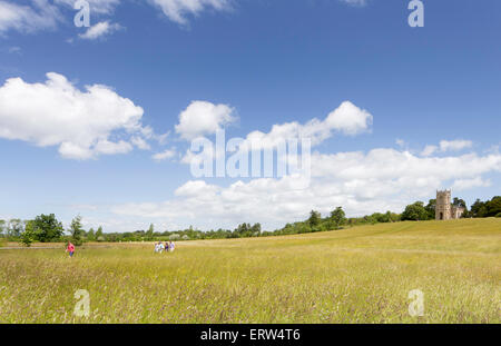 Croome Court's attractive parkland and St Mary Magdalene's Church by Capability Brown, Worcestershire. England, UK Stock Photo