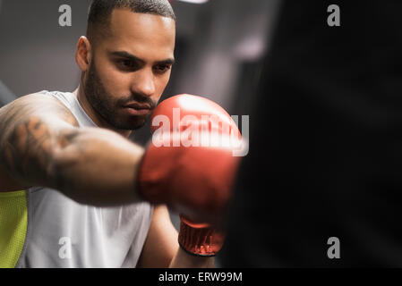Close up of Hispanic man punching bag in gym Stock Photo