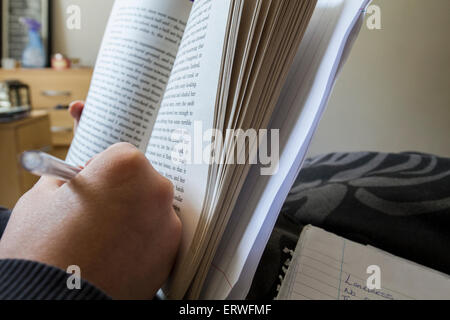 student homework and studying for exams Stock Photo