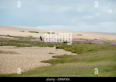 Looking down to Chesil Beach and Abbotsbury in Dorset, England Stock Photo