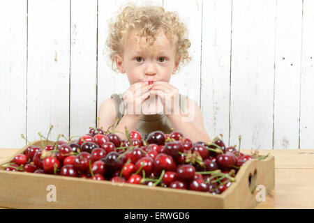 a small blond boy eating cherries Stock Photo