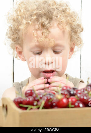 a small blond boy eating cherries Stock Photo