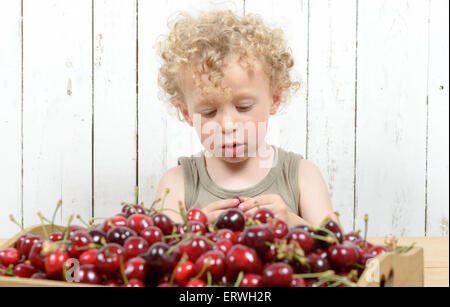 a small blond boy eating cherries Stock Photo