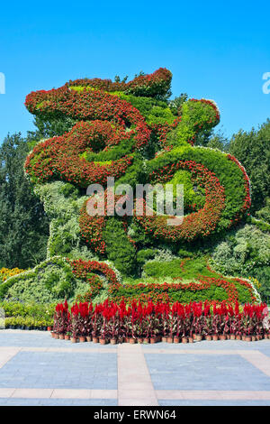 Beautiful floral design created by man Stock Photo