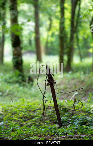 Barbed wire stake from First World War jutting out of ground in forest around Souville fortress, Verdun battlefield Stock Photo