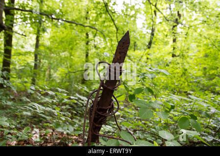 Barbed wire stake from First World War jutting out of ground in forest around Souville fortress, Verdun battlefield Stock Photo