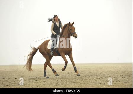 woman rides Hanoverian horse Stock Photo