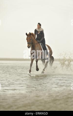 woman rides Hanoverian horse Stock Photo