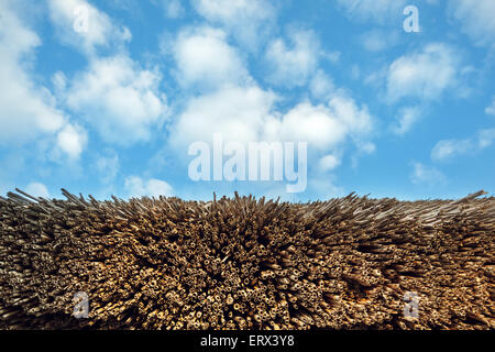 Straw pattern and blue sky with clouds. Background for design Stock Photo
