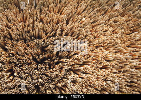 Straw pattern. Texture and background  for design Stock Photo