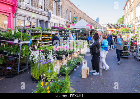 Columbia road flower market, East London, England, U.K. Stock Photo