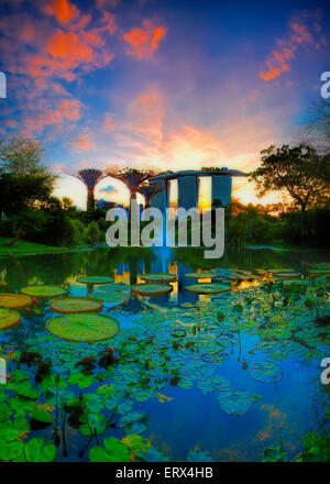 SINGAPORE-JUN 07: Evening view of Water Lily pond, and Marina Bay Sands at Gardens by the Bay on Jun 07, 2015 in Singapore. Stock Photo