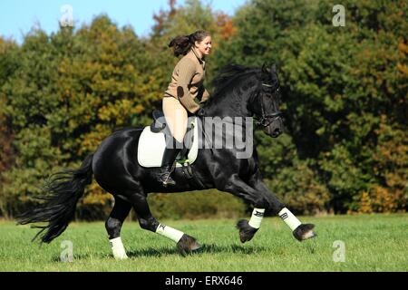 woman rides Friesian horse Stock Photo