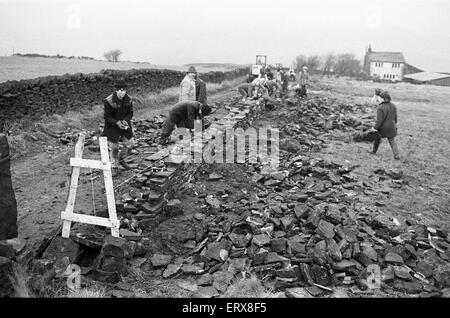 Colne Valley school children dry stone walling at Delves Moor Farm, Slaithwaite. Taught by Kenneth France. 17th December 1985. Stock Photo