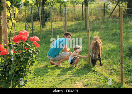 Feeding animals at Taverna Tipica Veneziana Stock Photo