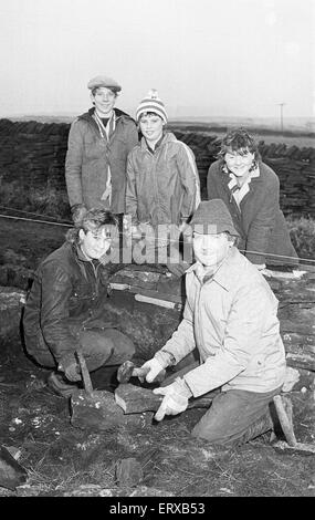 Colne Valley school children dry stone walling at Delves Moor Farm, Slaithwaite. Taught by Kenneth France. 17th December 1985. Stock Photo