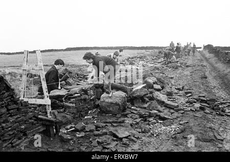 Colne Valley school children dry stone walling at Delves Moor Farm, Slaithwaite. Taught by Kenneth France. 17th December 1985. Stock Photo