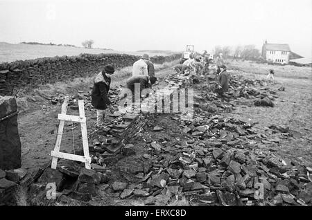 Colne Valley school children dry stone walling at Delves Moor Farm, Slaithwaite. Taught by Kenneth France. 17th December 1985. Stock Photo