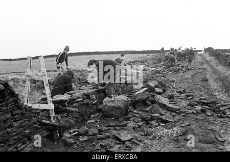 Colne Valley school children dry stone walling at Delves Moor Farm, Slaithwaite. Taught by Kenneth France. 17th December 1985. Stock Photo