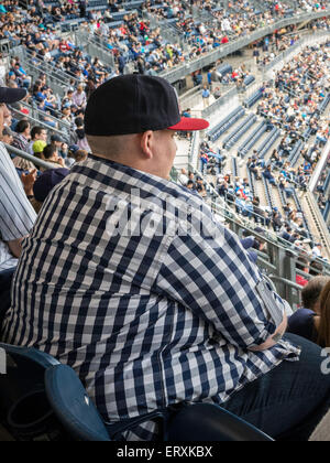 Large Male Fan Watching Game, Yankee Stadium, The Bronx, New York Stock Photo