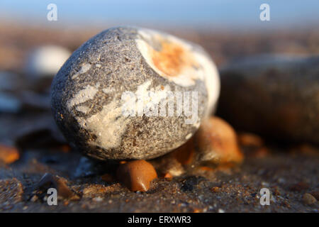 Single pebble sand on beach Stock Photo
