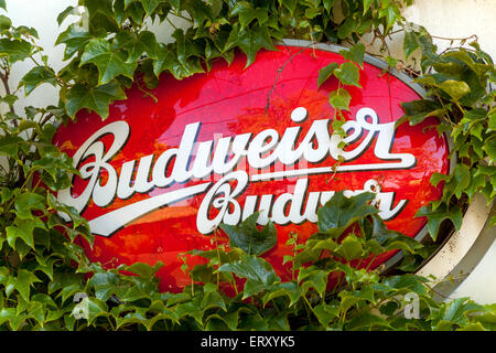 Budweiser Budvar sign outside bar Brand brewery Czech Republic Stock Photo