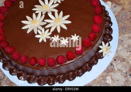 Dark chocolate cake decorated with fresh ripe red raspberries Stock Photo