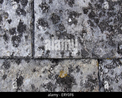 Close-up detail of part of an old slate roof showing the texture of the slate and the surface lichens. Stock Photo