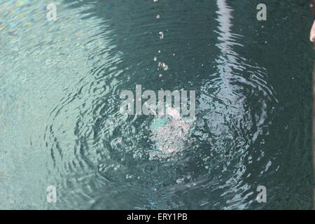 Water splashes into a pool of water, creating small ripples throughout the pond. Stock Photo