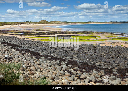 The sandy beach at Embleton Bay Embleton Northumberland England Stock ...