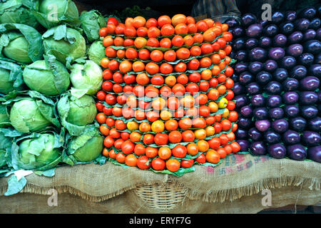 Vegetable ; green cabbage red tomato purple brinjal Stock Photo