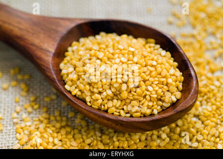 Grains ; moong dal split mung beans phaseolus mungo in wooden ladle