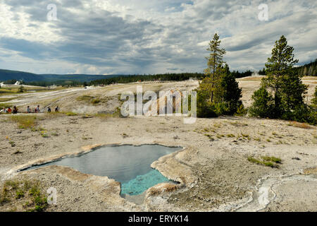 Hot spring , Yellowstone National Park ; Wyoming ; USA , United States of America Stock Photo
