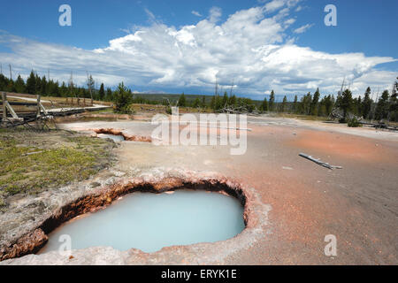Hot spring ; Yellowstone national park ; USA , United States of America Stock Photo