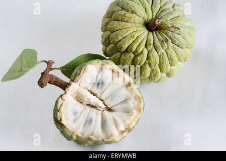 one full and one half custard apple sugar apple annona squamosa on white background Stock Photo