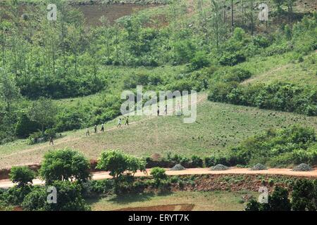 Araku Valley , Hill Station , Eastern Ghats , Visakhapatnam , Andhra Pradesh , India , Asia Stock Photo