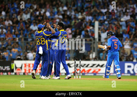 Sri Lankan team members celebrate wicket batsman Gautam Gambhir 2011 ICC World Cup Final Wankhede Stadium Mumbai Stock Photo